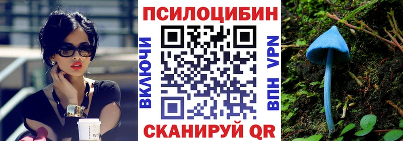 Купить где  Сертолово  Галлюциногенные грибы мицелий 