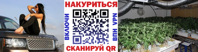 Купить где  Сертолово  Бошки Шишки OG Kush 